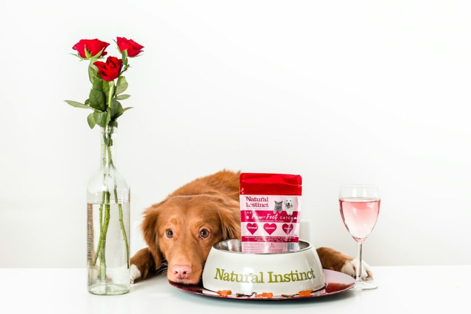 brown short coated dog on white ceramic plate beside clear glass vase