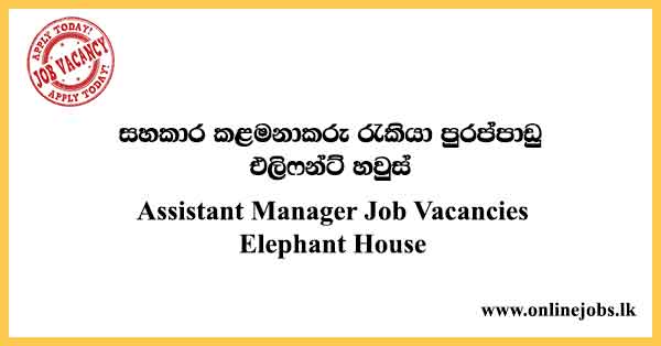 Assistant Manager Job Vacancies Elephant House
