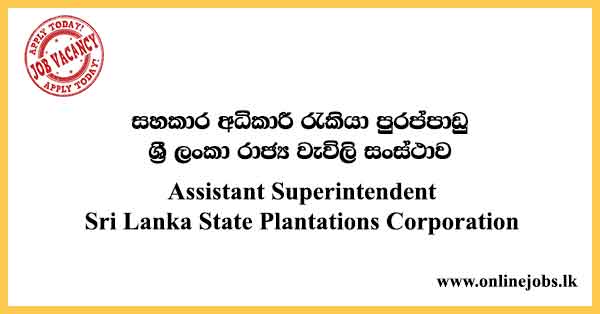Assistant Superintendent - Sri Lanka State Plantations Corporation Vacancies 2024