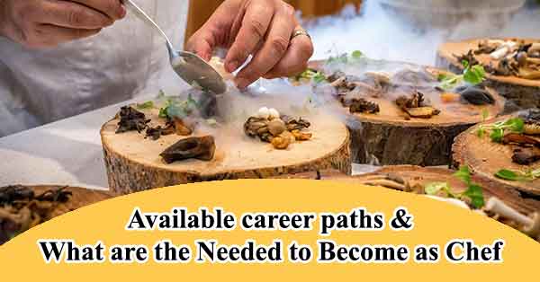 Available career paths and what are the needed to become as Chef