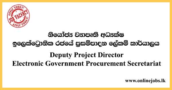 Deputy Project Director Electronic Government Procurement Secretariat