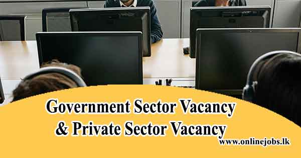 Different Between Government Sector Job Vacancy and Private Sector Job Vacancy