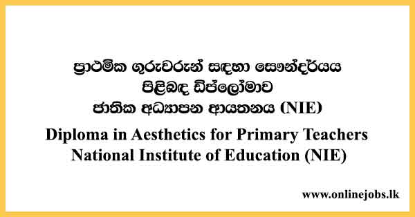 Diploma in Aesthetics for Primary Teachers
