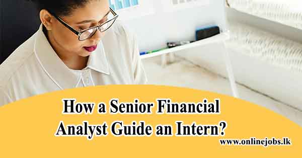 How a Senior Financial Analyst Guide an Intern?