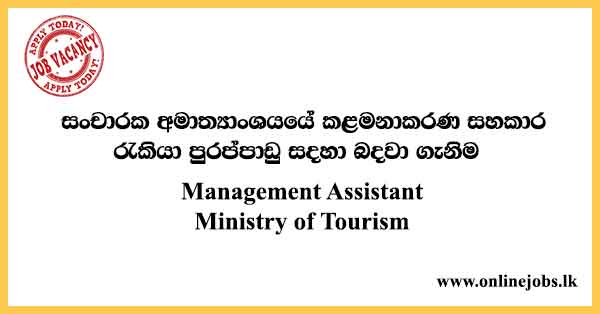Management Assistant - Ministry of Tourism Vacancies 2024