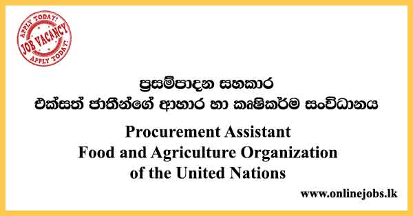 Procurement Assistant - Food and Agriculture Organization of the United Nations Vacancies 2024